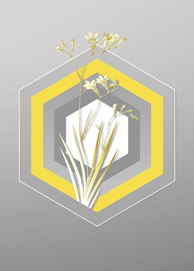 Gray Floral Illustration