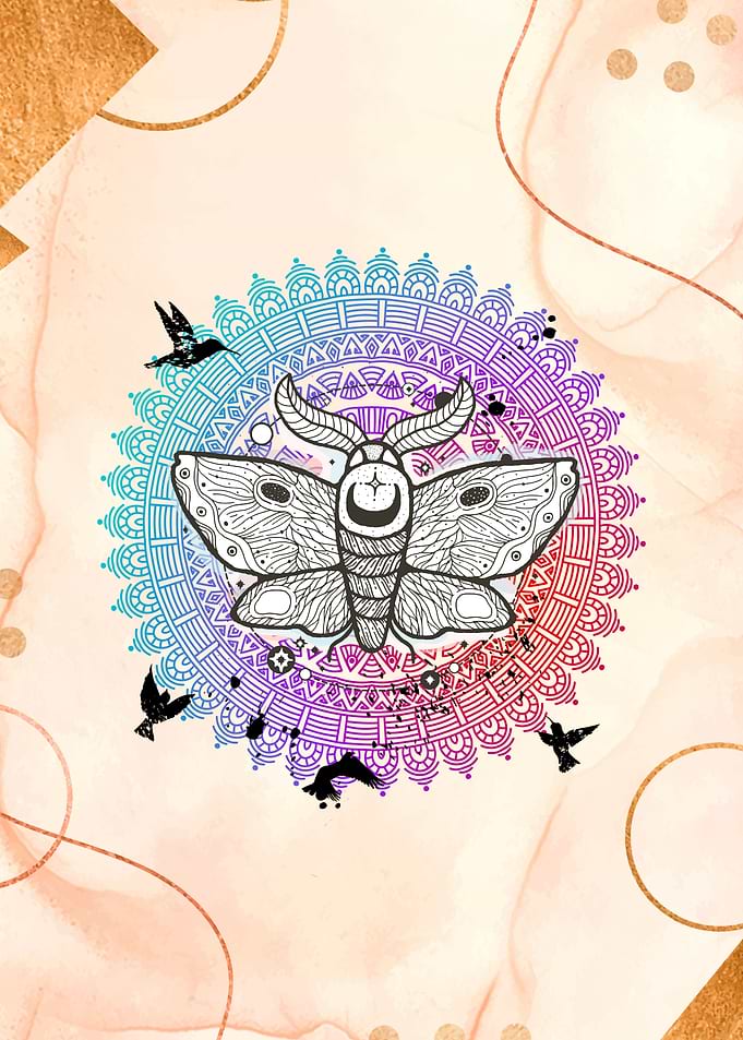 Moth Mandala