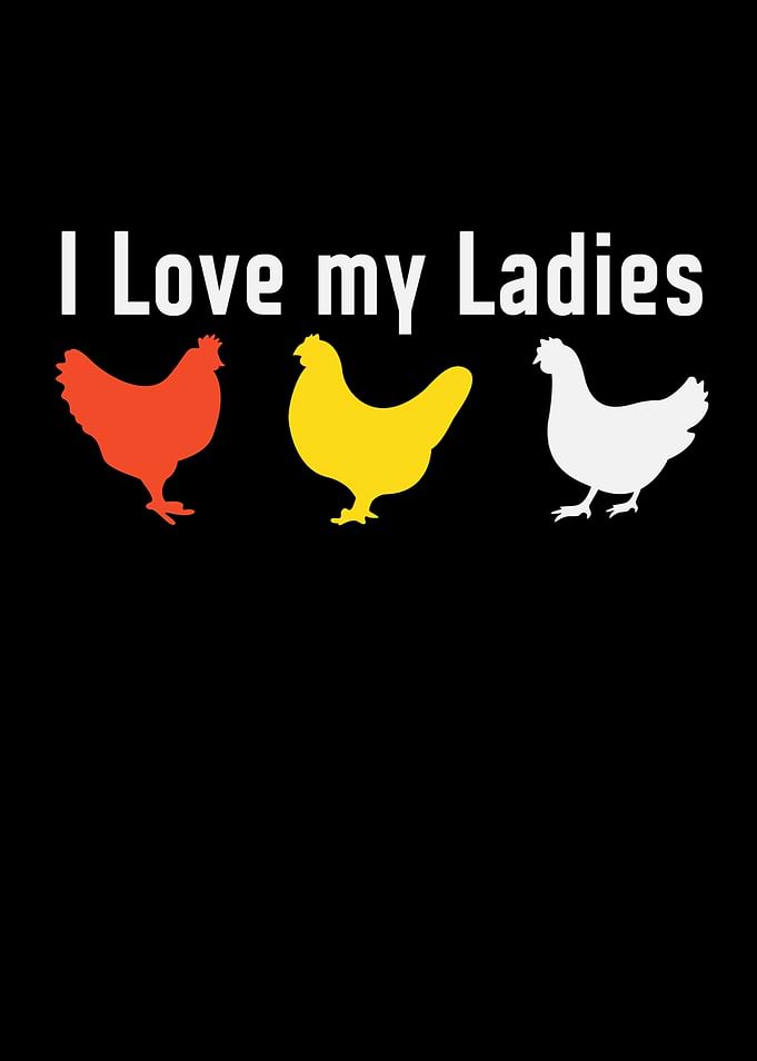 Chickens Chicken Coop