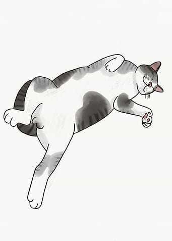 Sleeping cat painting