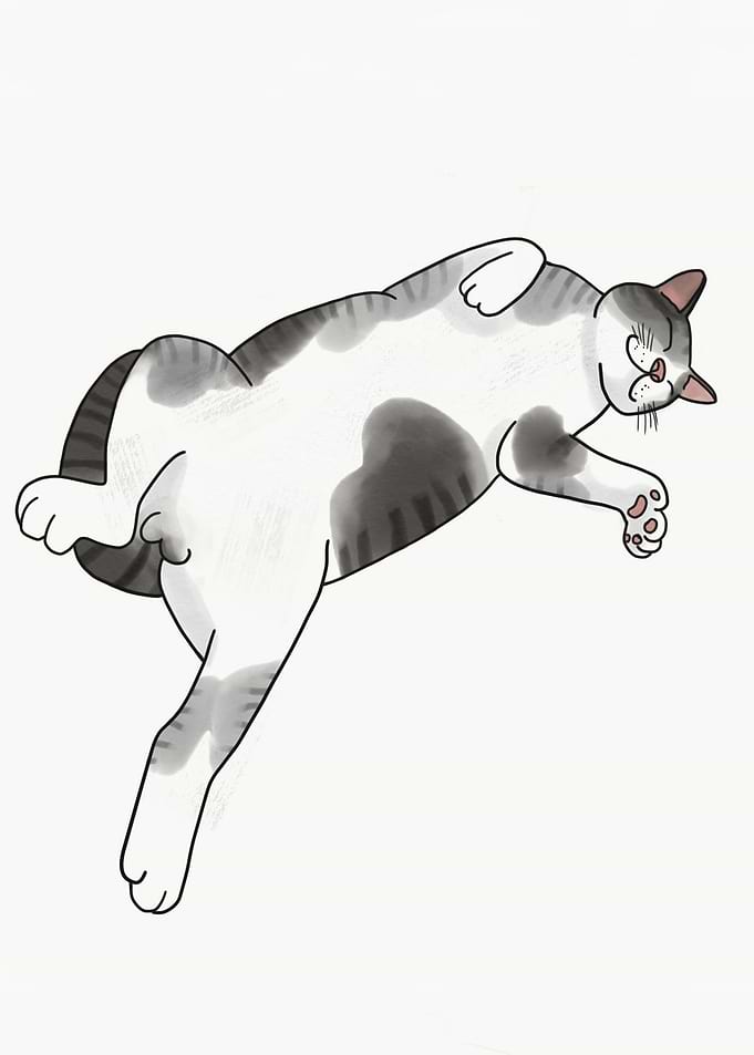 Sleeping cat painting