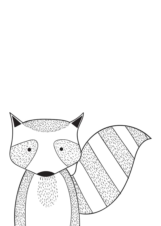 Minimal Raccoon