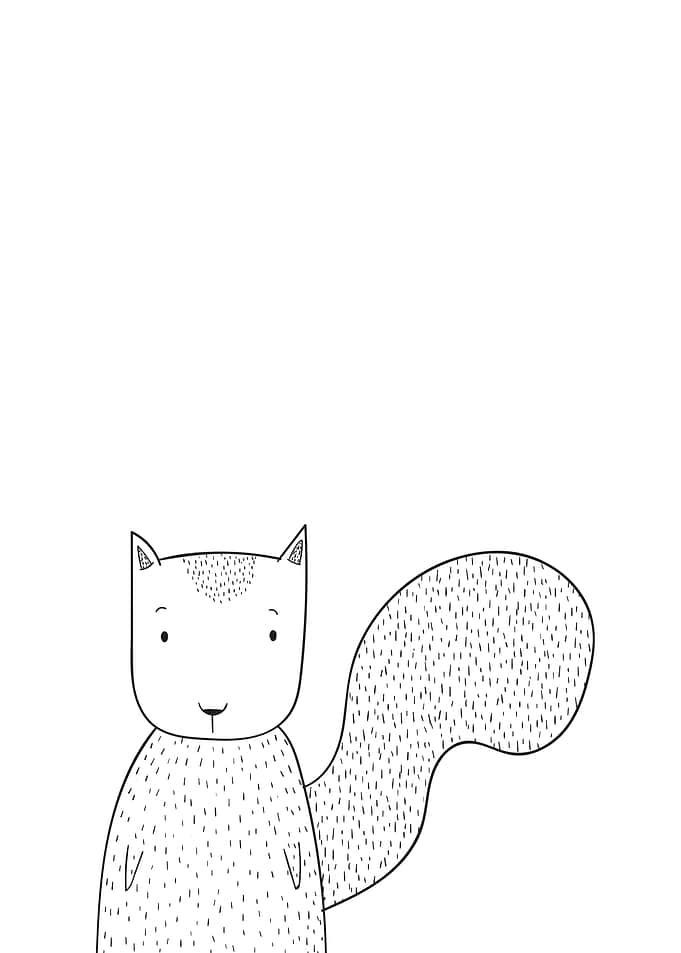 Minimal Squirrel