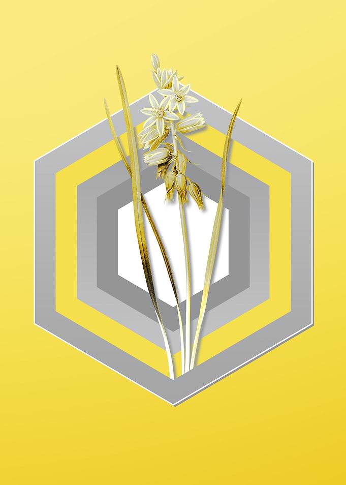 Yellow Floral Illustration