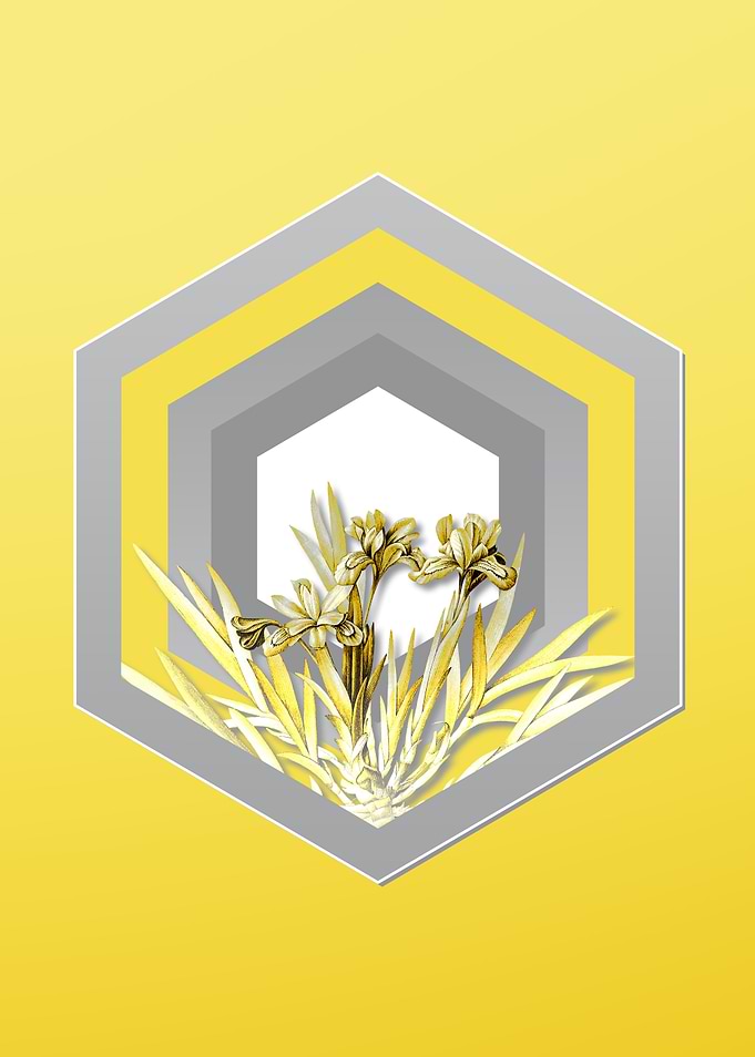 Yellow Floral Illustration