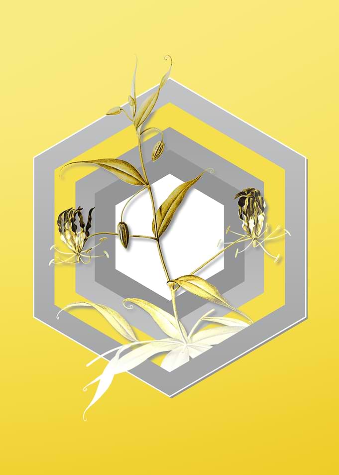 Illuminating Yellow Flower