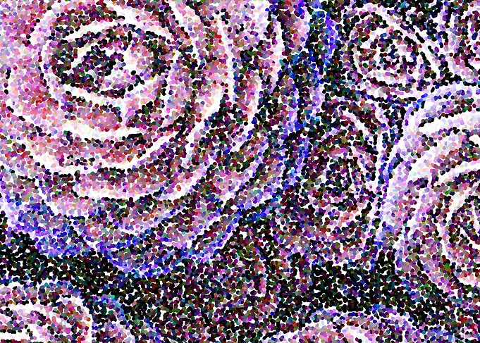 Dotted Roses