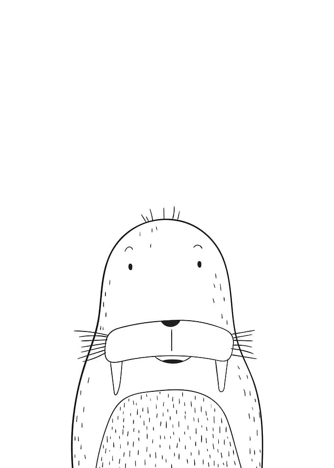 Minimal Walrus