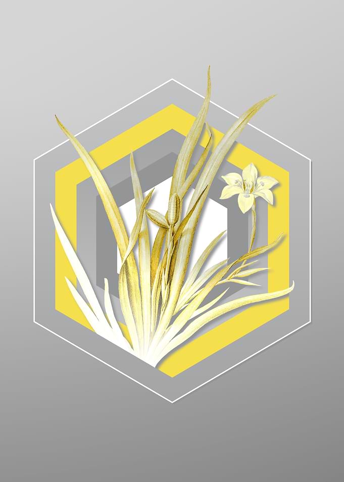 Grey Floral Illustration