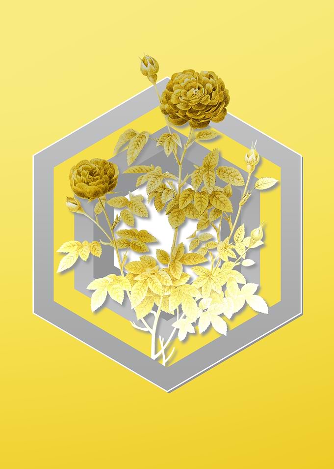 Vintage Yellow Rose Flower