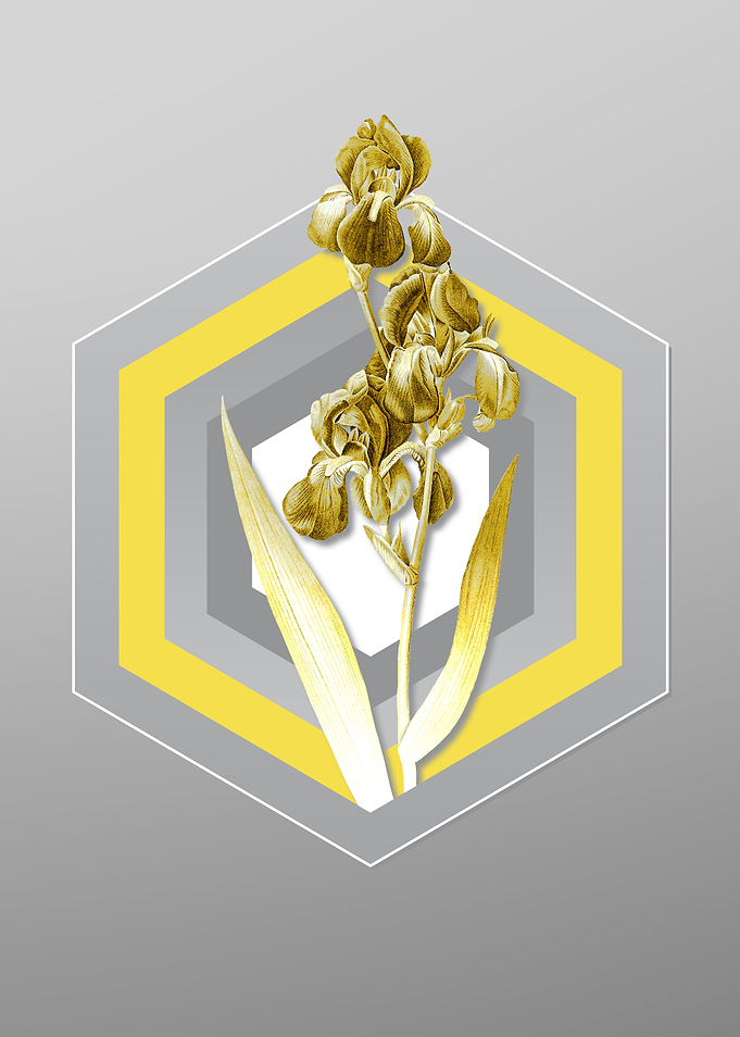 Gray Floral Illustration
