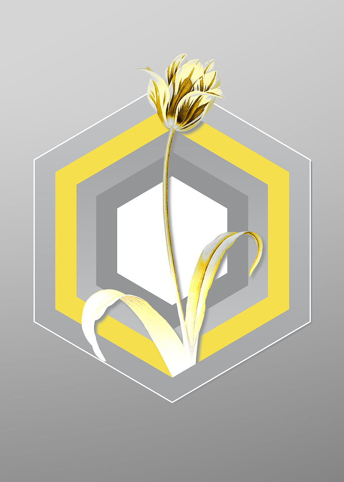 Gray Floral Illustration