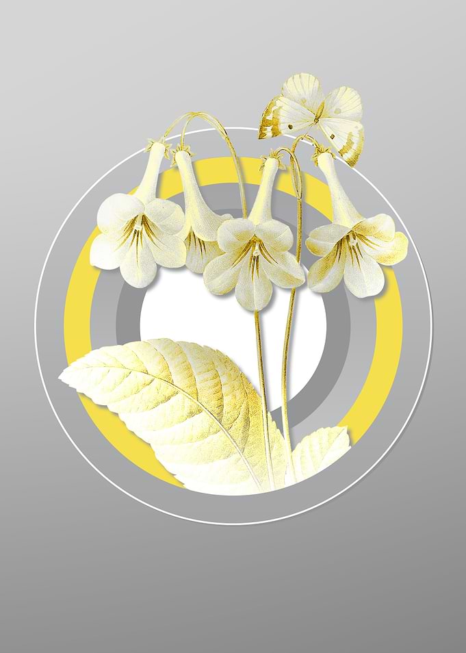 Grey Floral Botanical Art