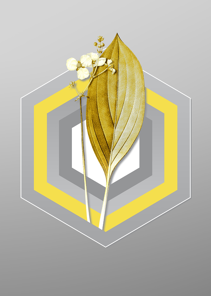 Gray Arrowhead Floral Art