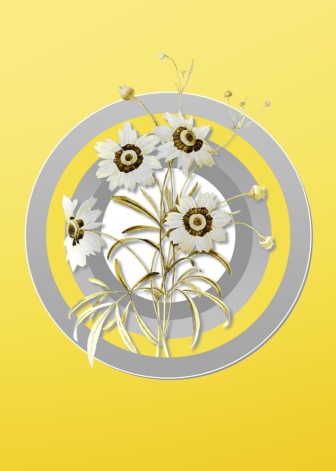 Yellow Flower Illustration