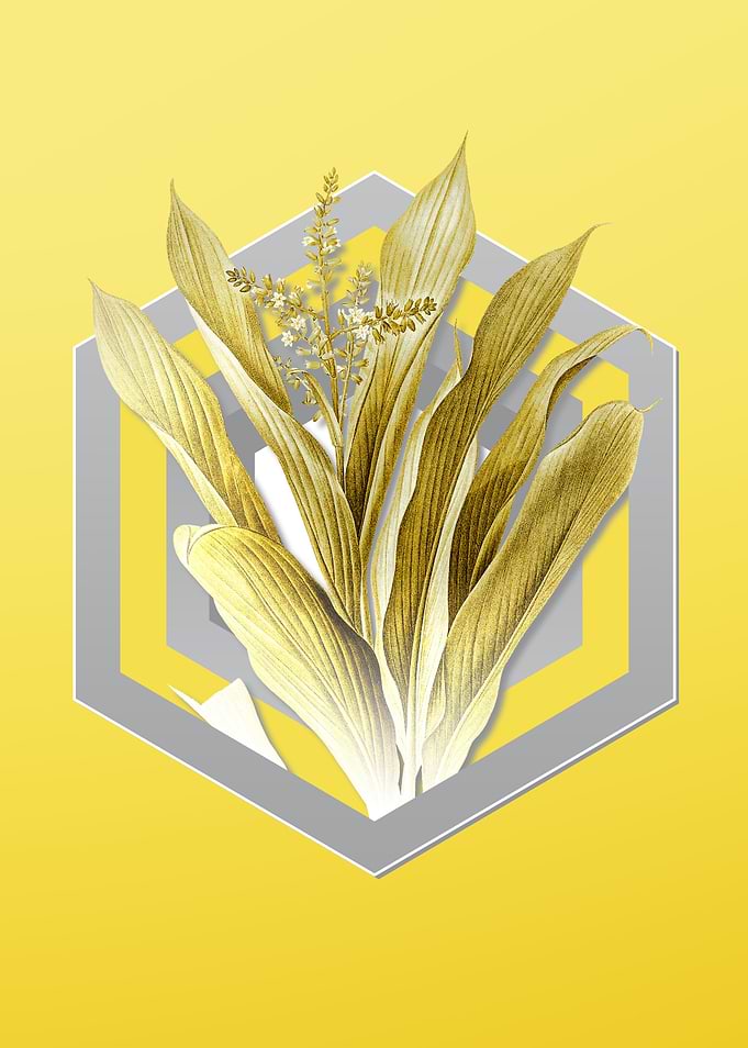 Yellow Flower Illustration