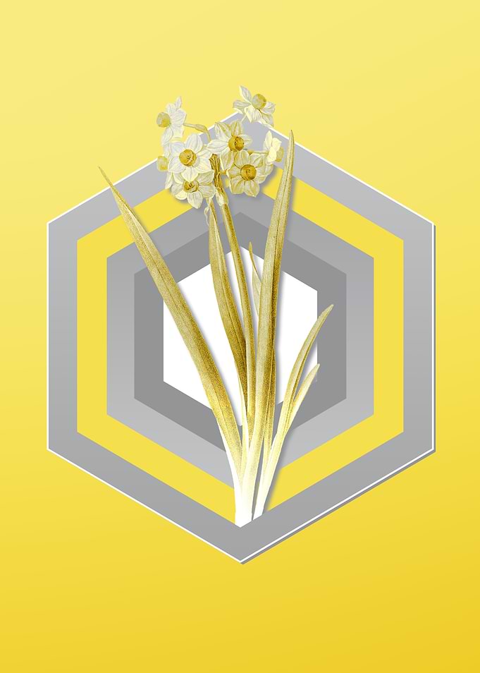 Yellow Flower Illustration