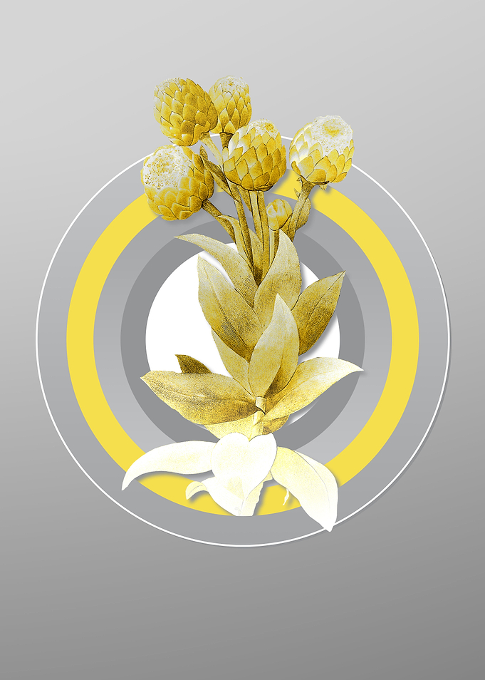 Grey Flower Illustration
