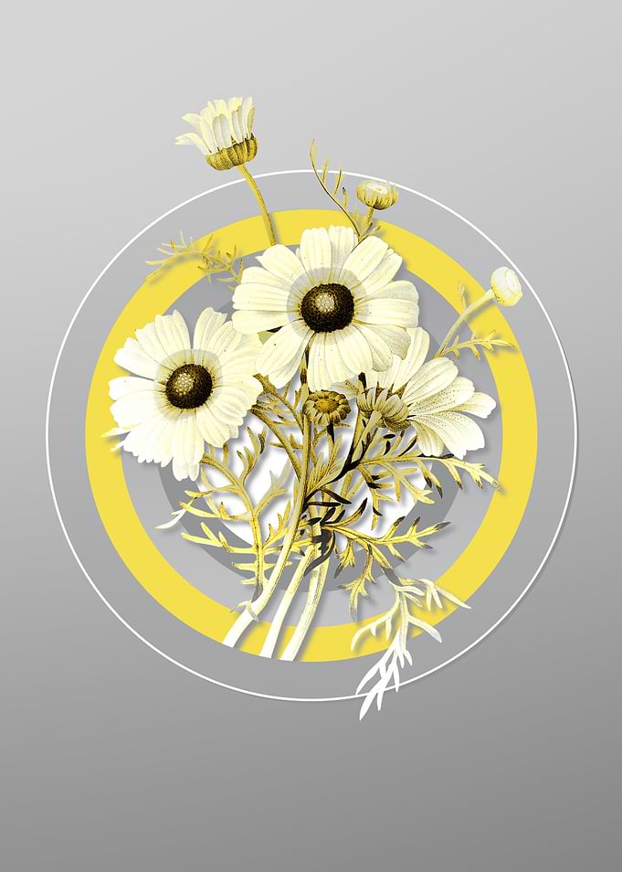 Grey Flower Illustration