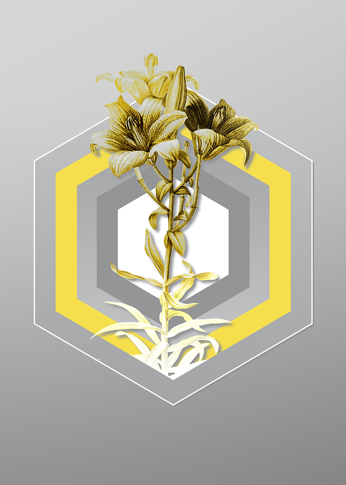 Grey Floral Illustration