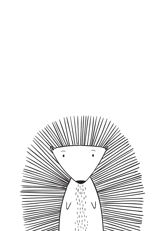 Minimal Hedgehog