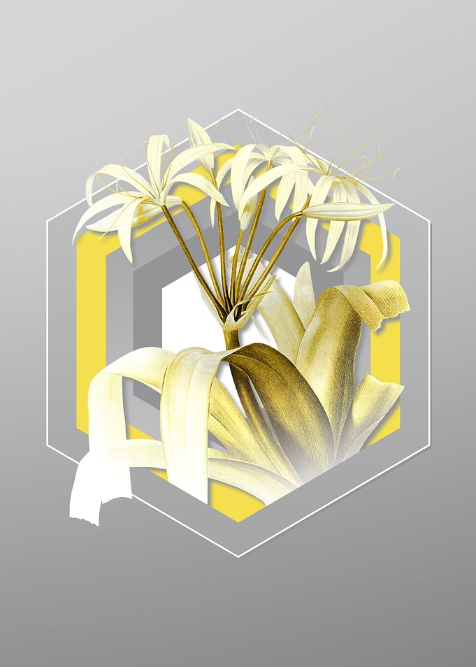 Grey Flower Illustration