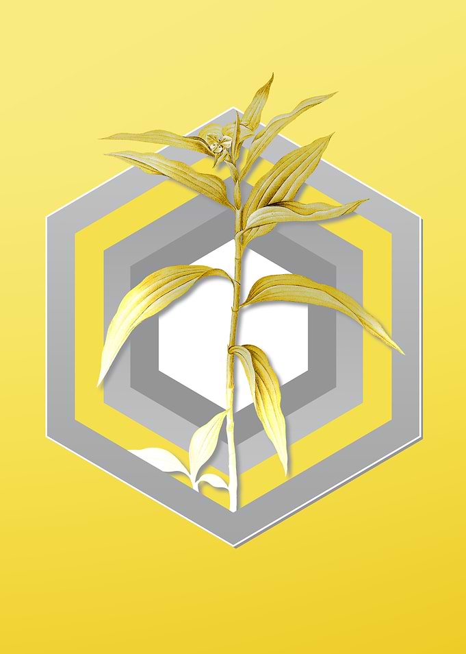 Yellow Floral Illustration