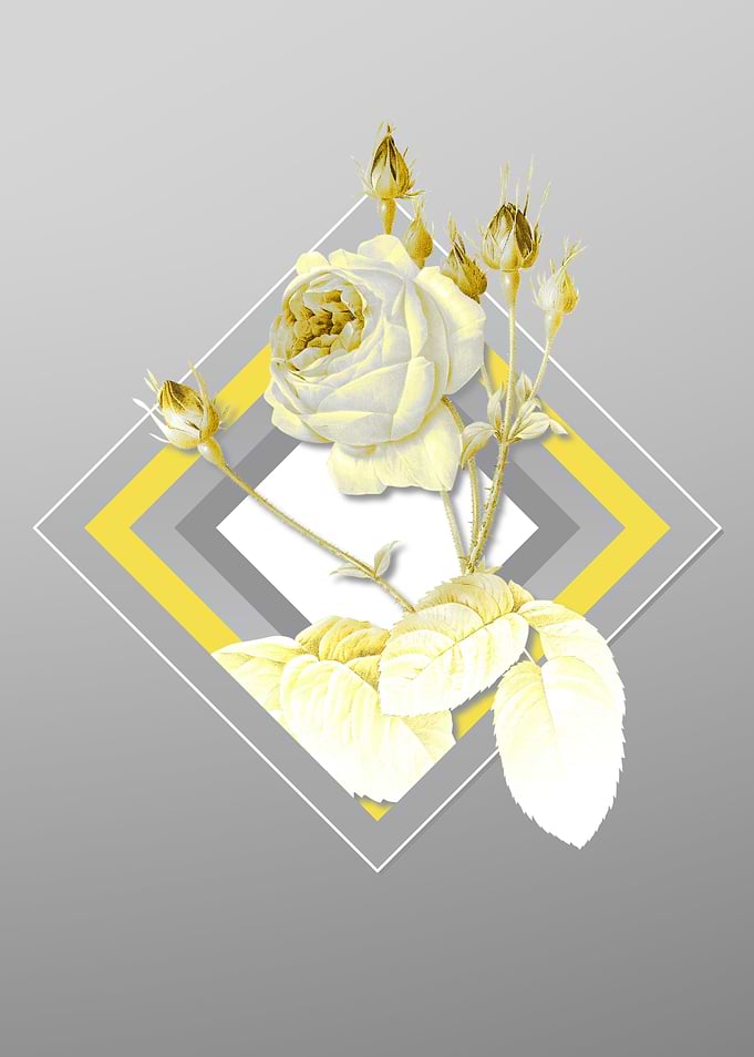 Grey Rose Floral Botanical