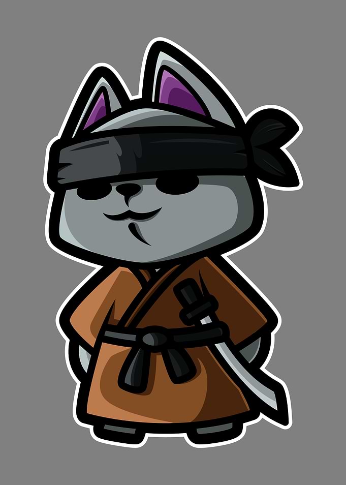 Ninja Cool Cat
