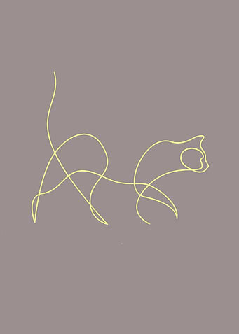 ONE LINE CAT
