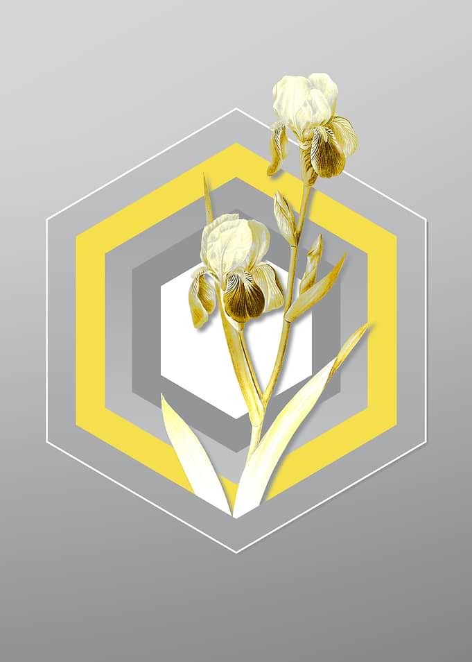 Gray Floral Illustration