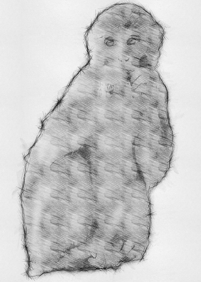 Monkey Pencil Sketch Arts