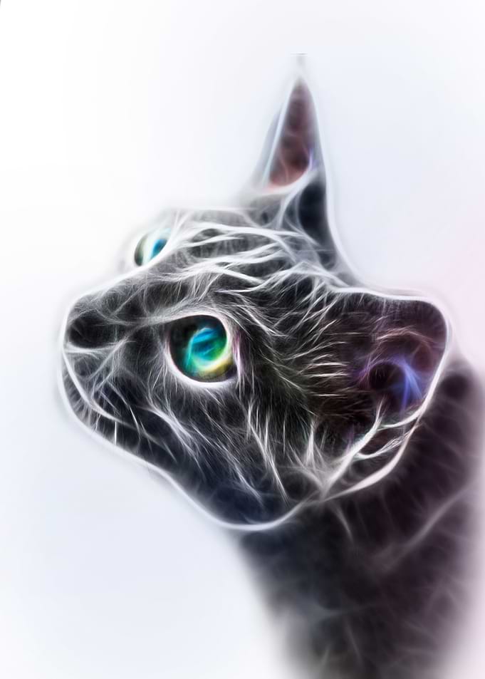 Fractalius White Cat