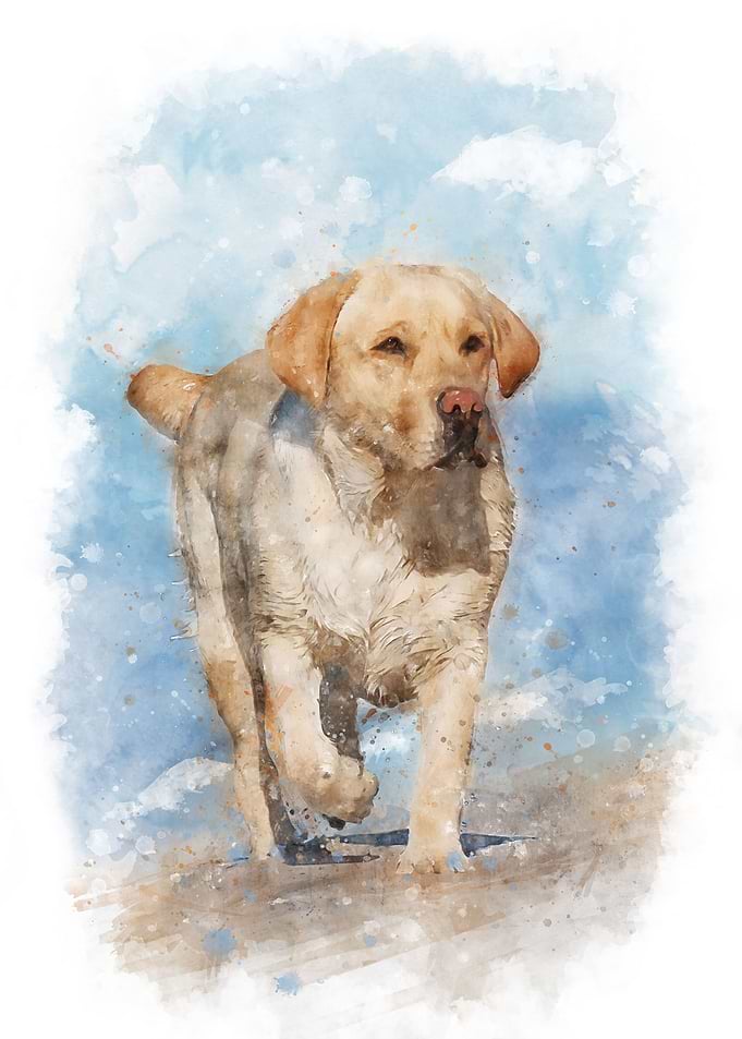 Lab on the beach