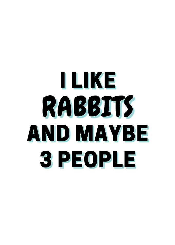 I Like Rabbits And Maybe 3