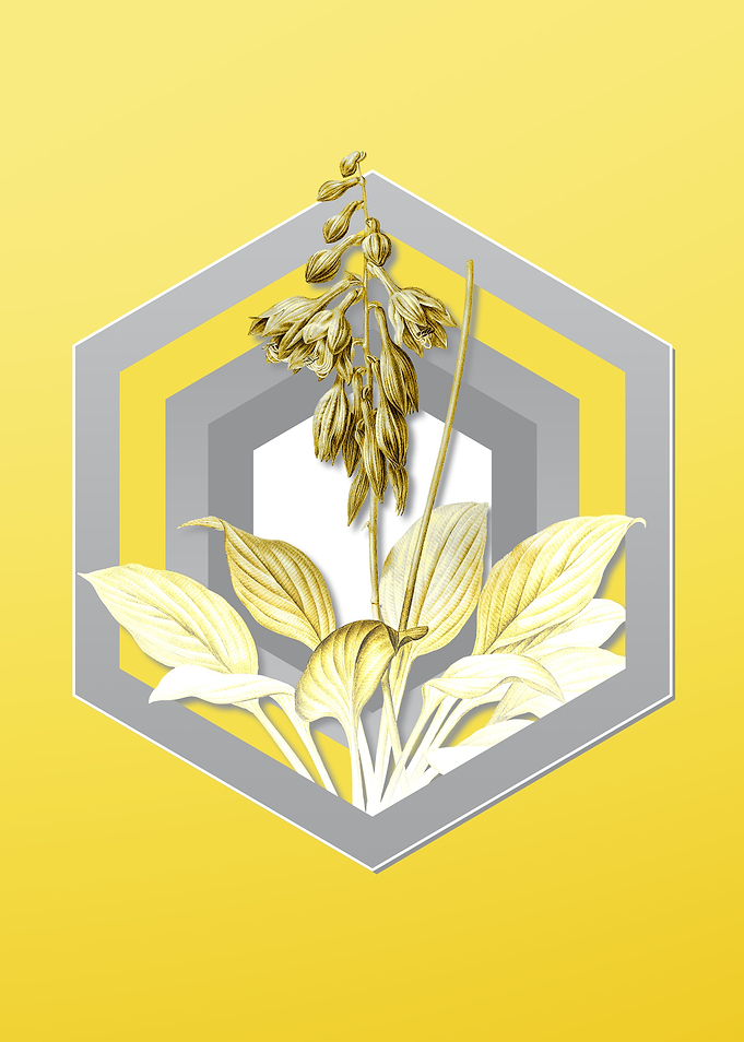 Yellow Floral Illustration
