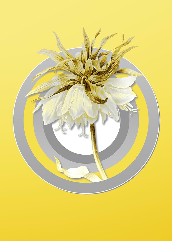 Yellow Kaisers Crown Flora
