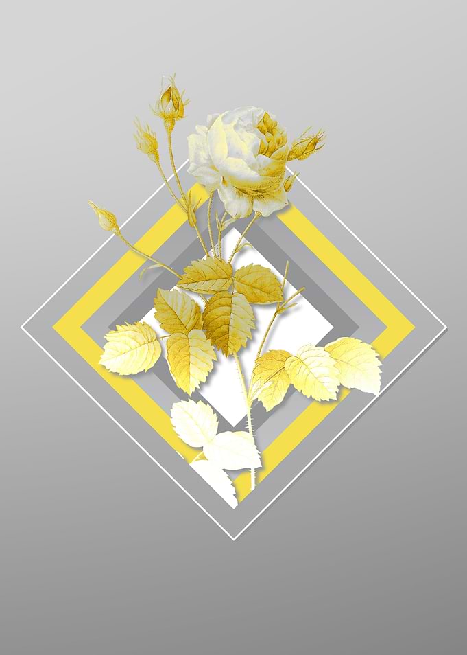 Gray Provence Rose Flower