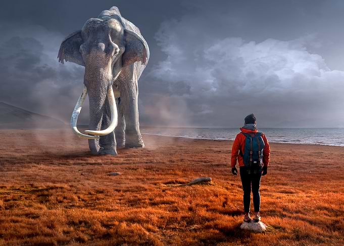 Phantom elephant
