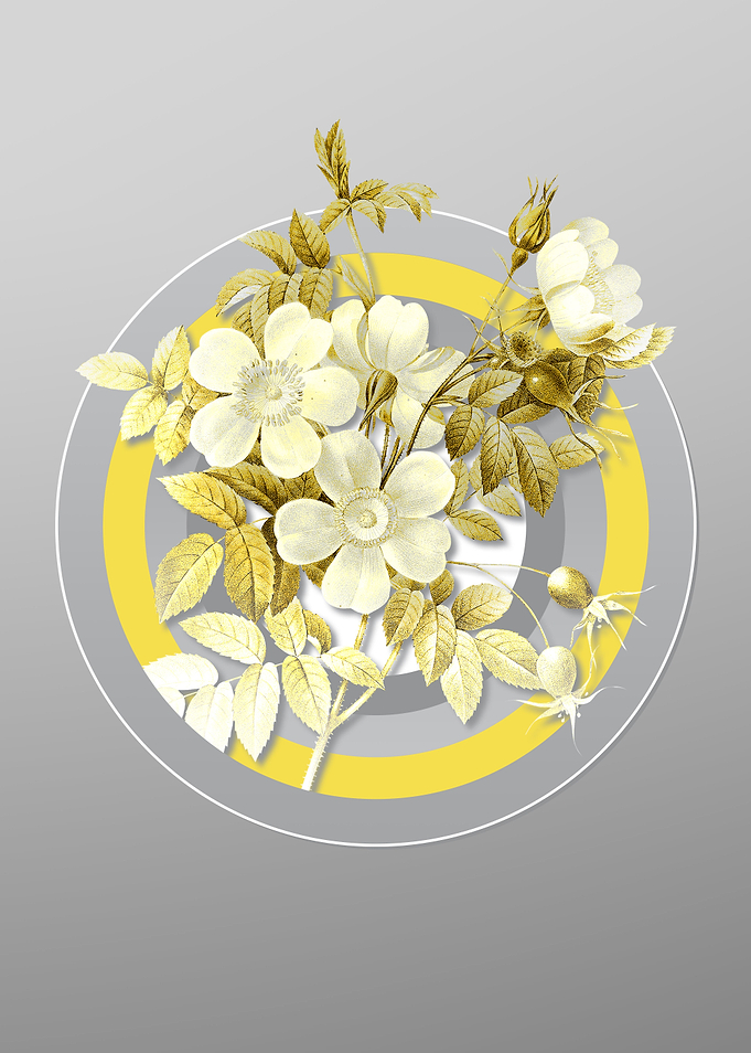 Gray Botanical Drawing