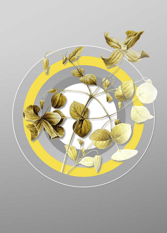 Gray Botanical Drawing