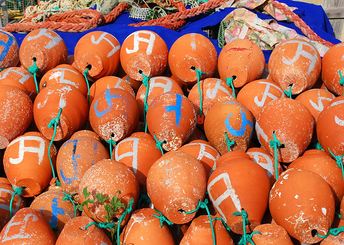 Catch baskets for seafood