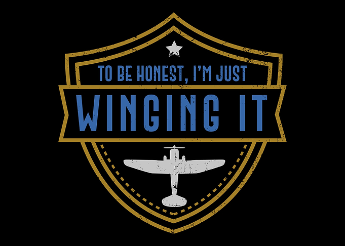 Airplane Pilot Captain