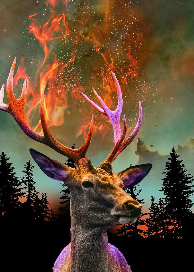 The Nature of Things