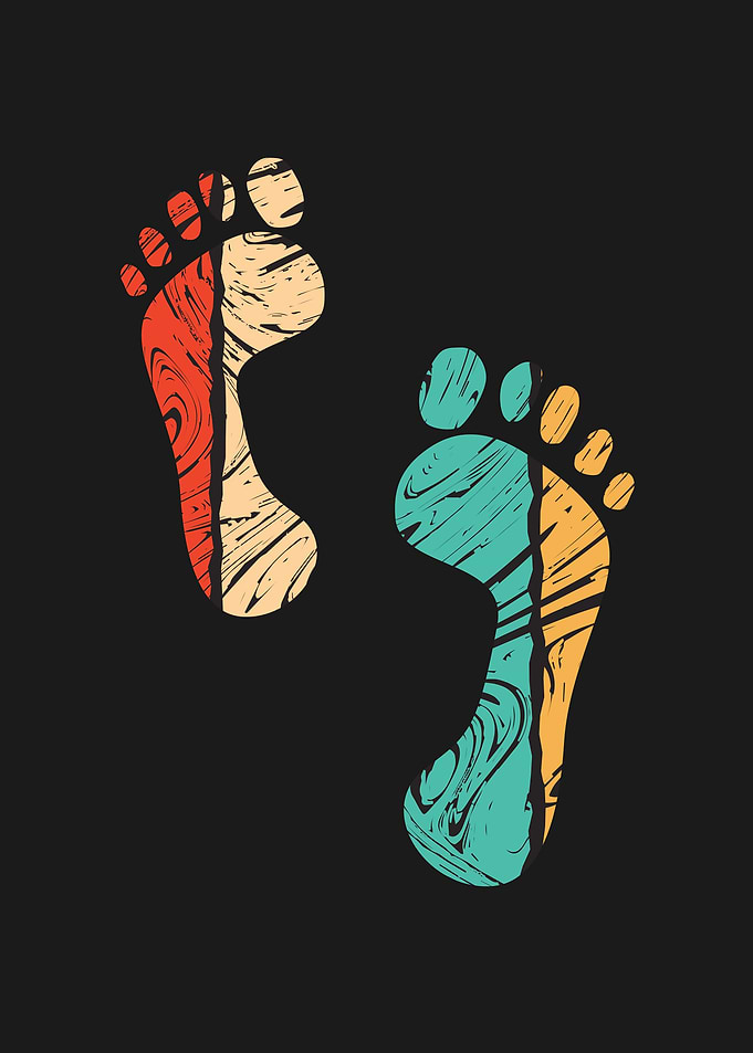 Animal Footprint
