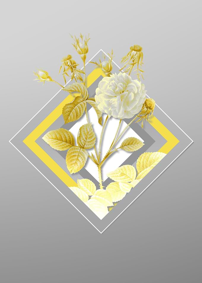 Gray and Yellow Rose Flora