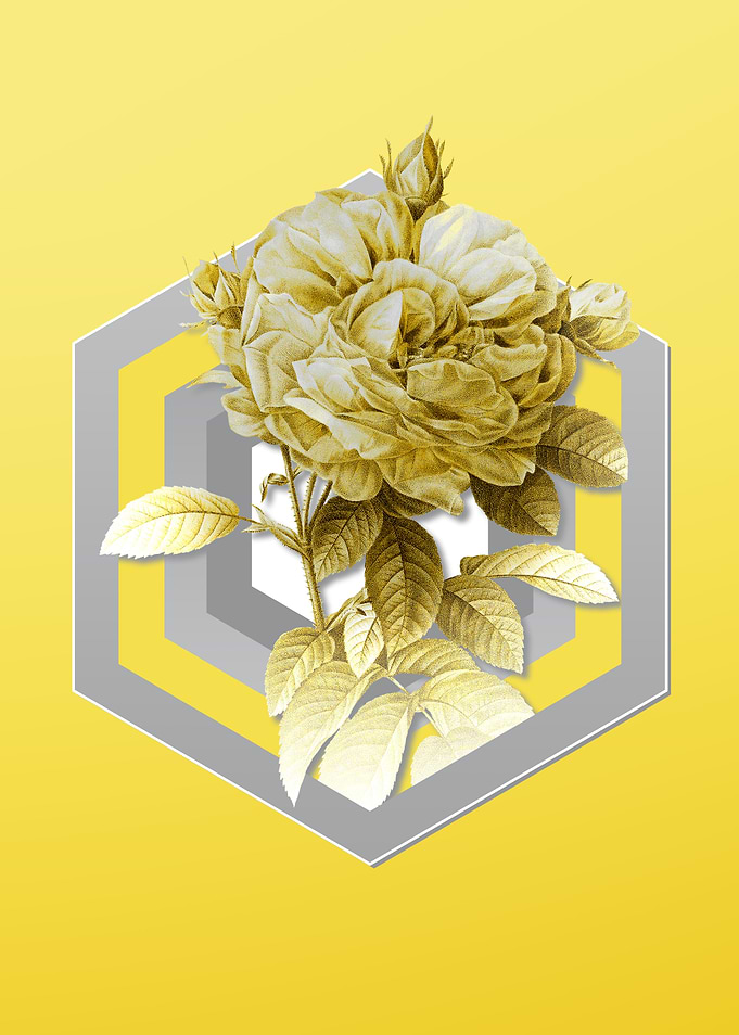 Yellow Vintage Rose Flower