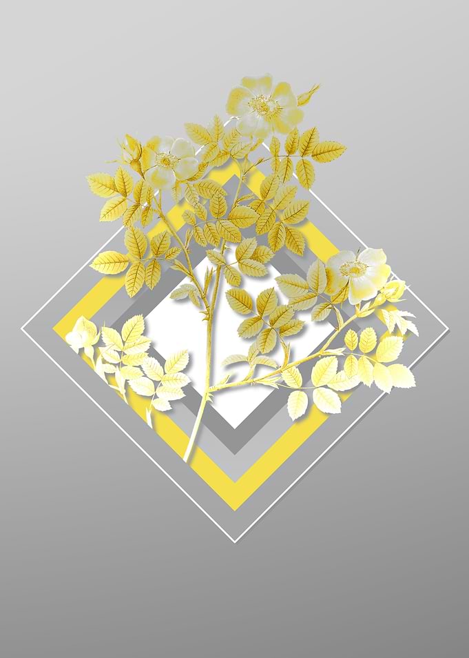 Gray Flower Illustration