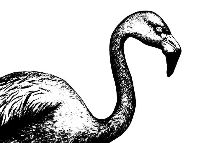 Vintage Flamingo