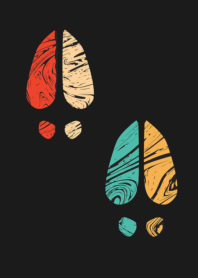 Animal Footprint